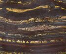 Tiger Iron Stromatolite Shower Tile - Billion Years Old #48802-1